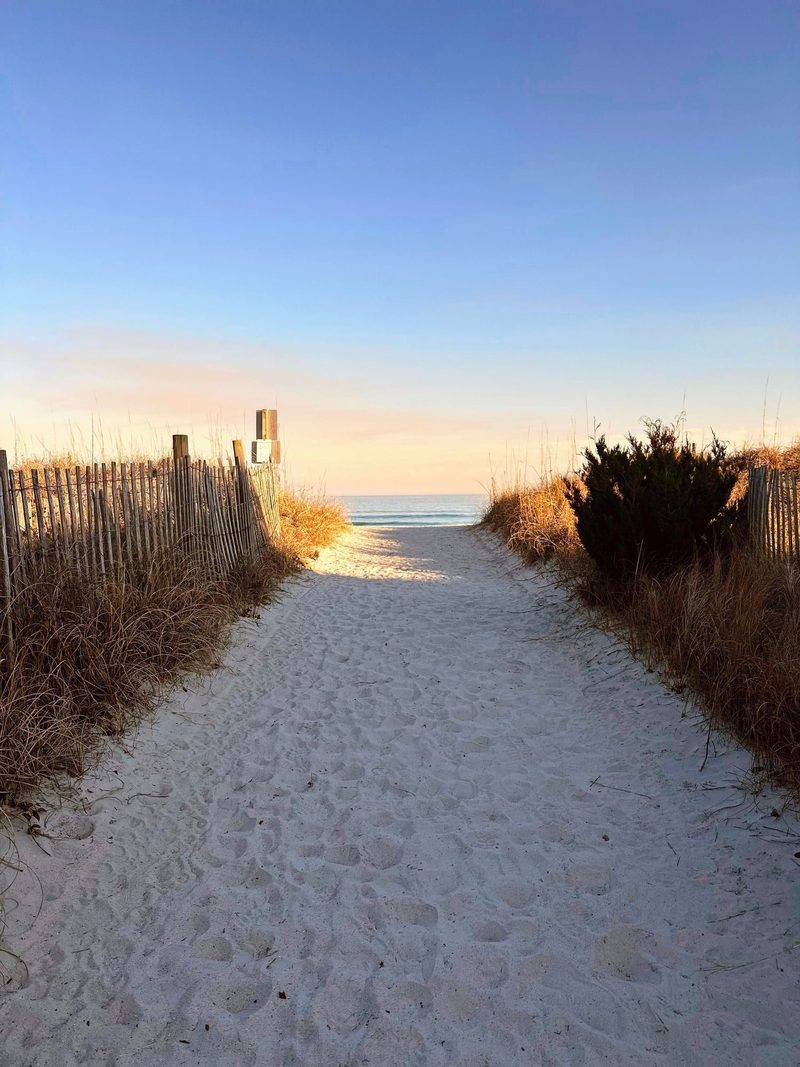 A sandy path between dune grass leading to the ocean