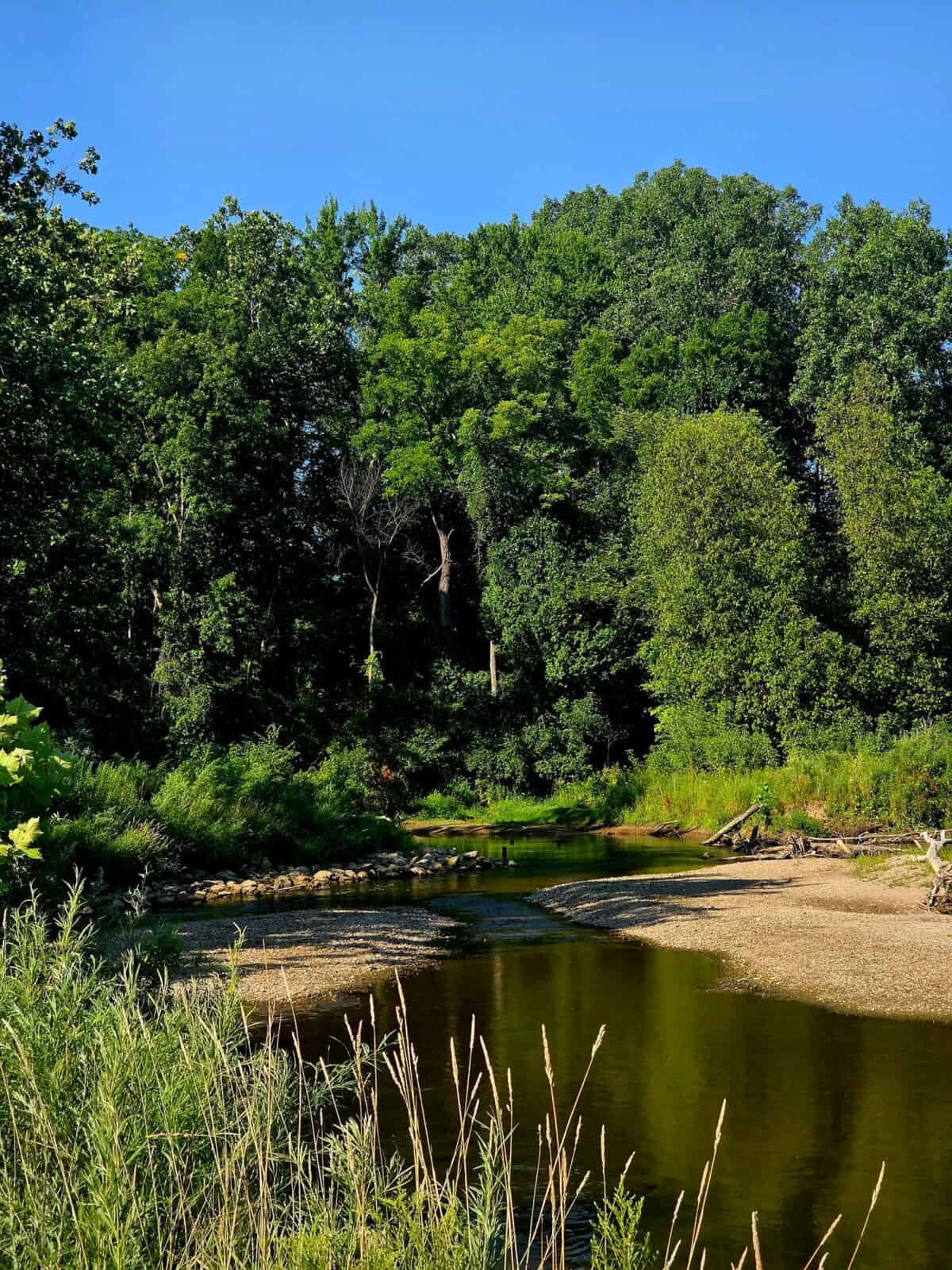 River flowing downstream