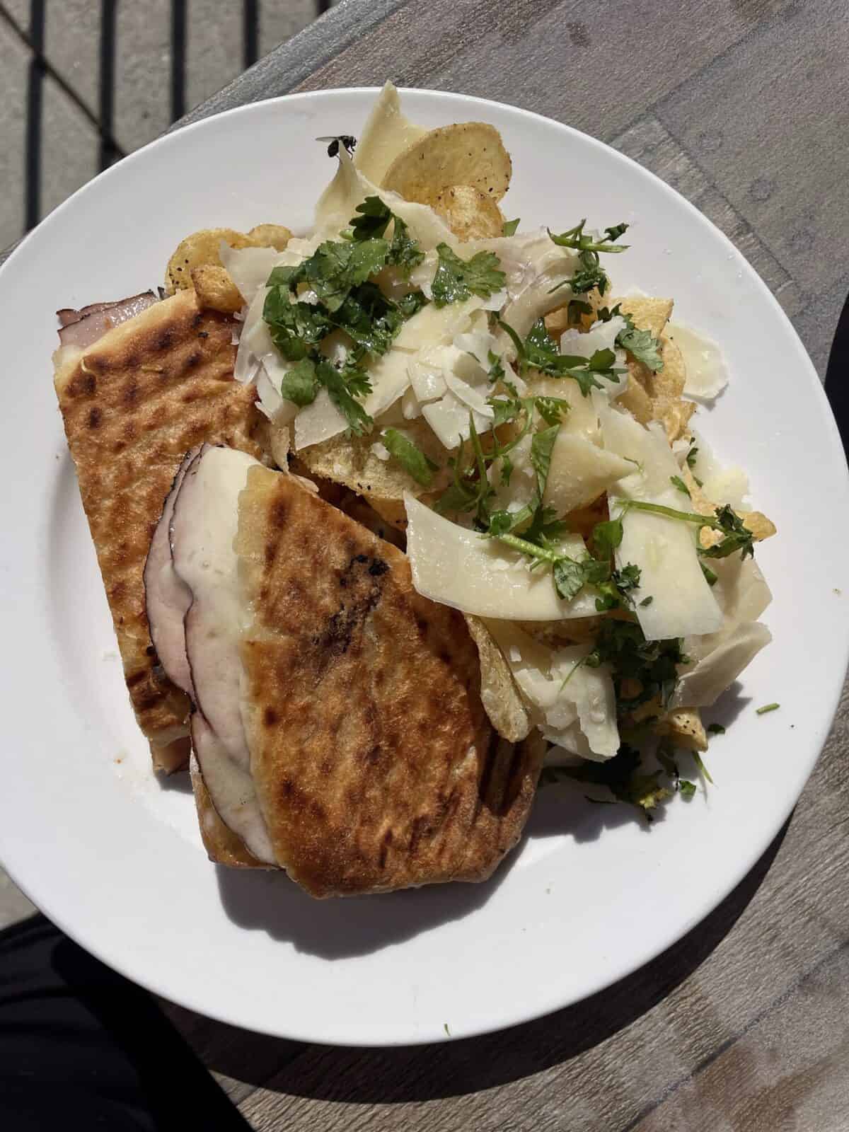 A pressed panini cut in half and topped with shaved parmesan and fresh herbs on a white plate.