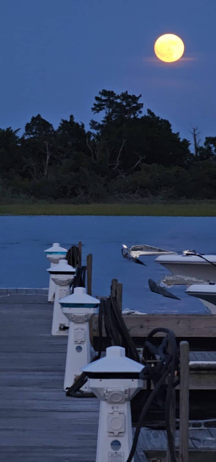 Moving to Pender County, NC: Instagrams, Beaches & Events Worth Driving For