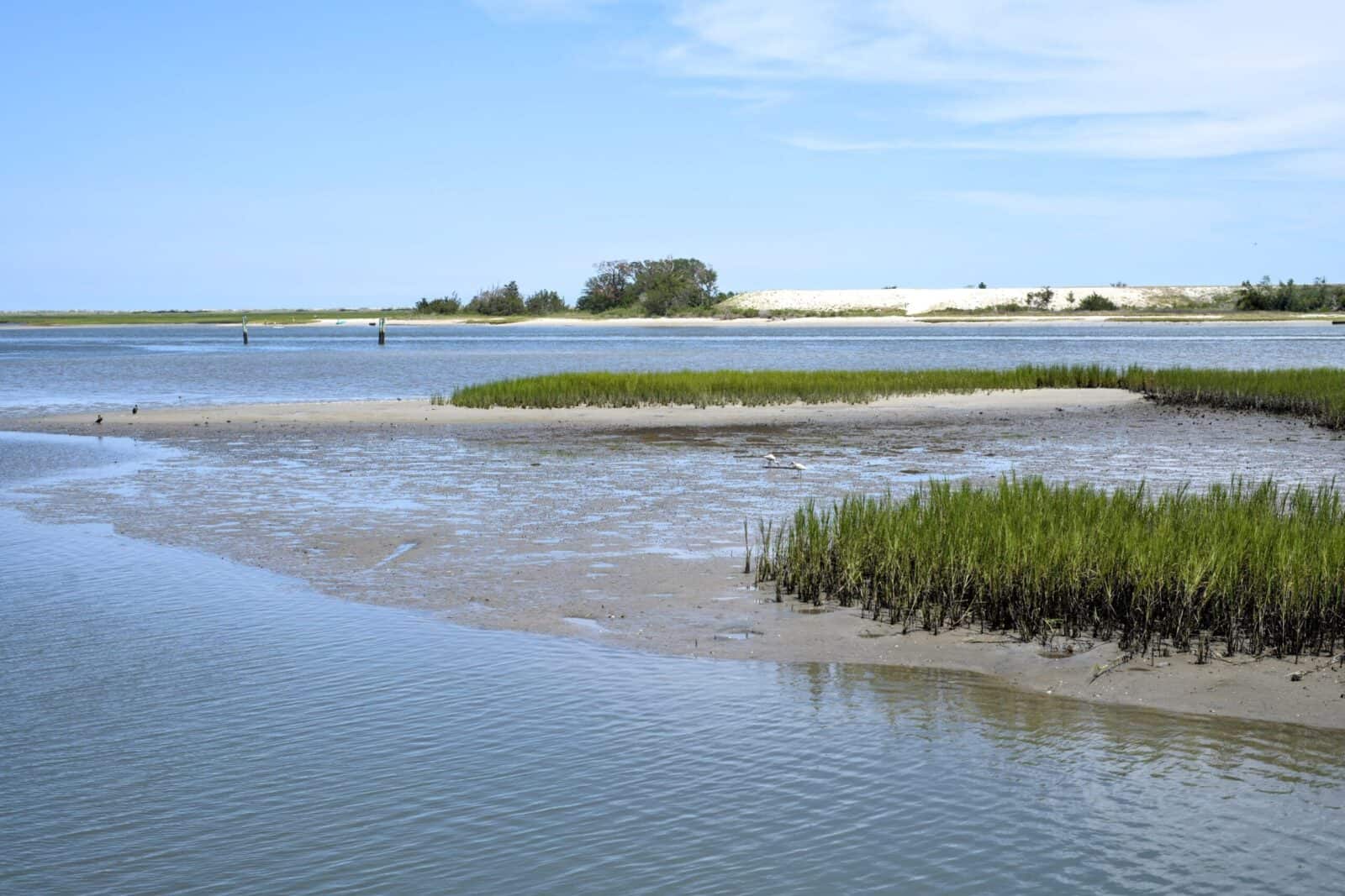 Tidal salt marsh with a sandbar, grasses, and distant beach houses near Wrightsville Beach, NC.