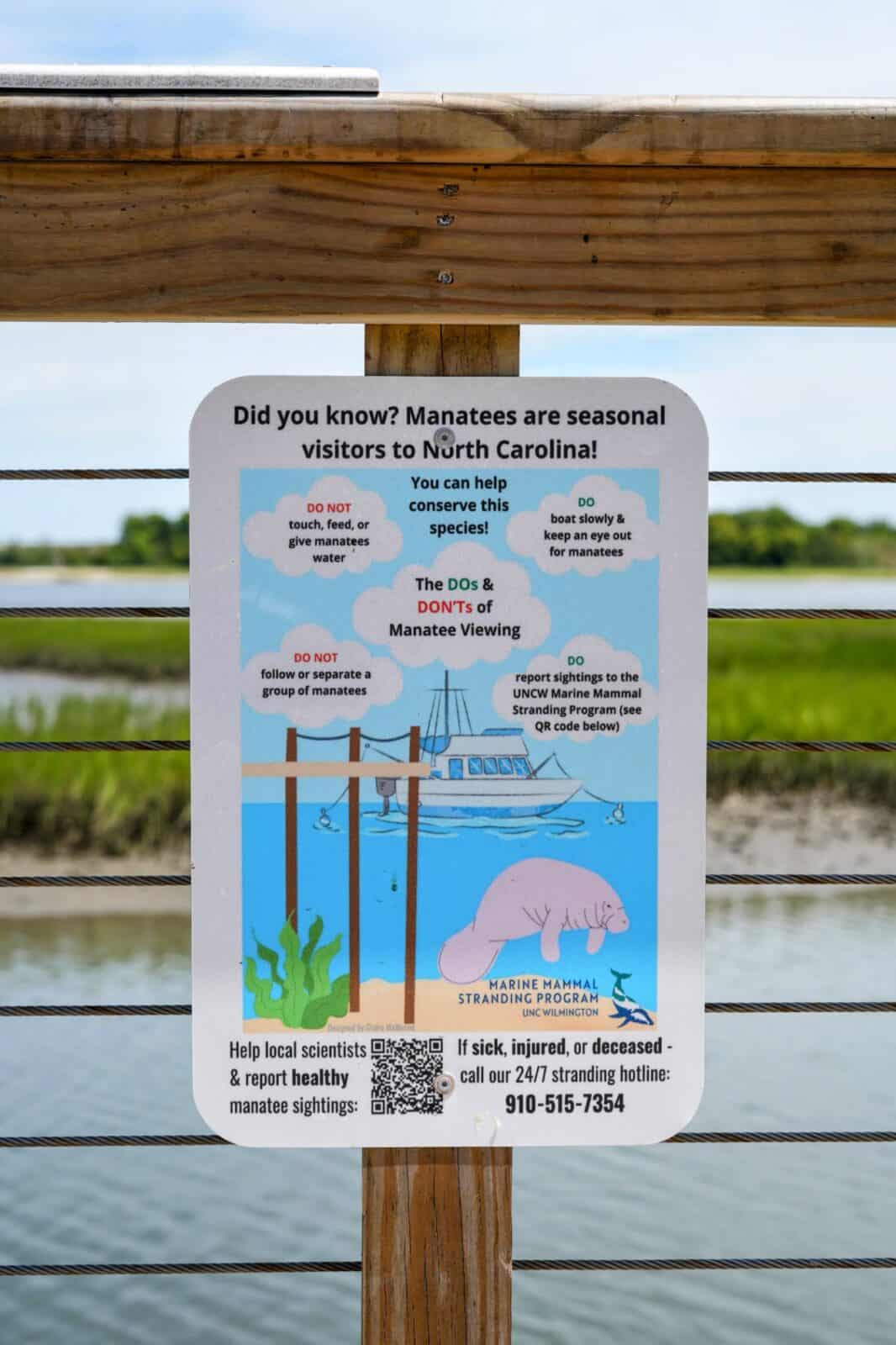 Educational sign about manatees as seasonal visitors to North Carolina posted along a marsh boardwalk railing.