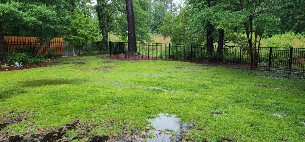 Our Wilmington backyard before the pool build, with open lawn, mature trees and a black metal fence