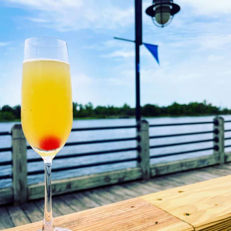 Mimosa on the Riverwalk railing in downtown Wilmington, NC