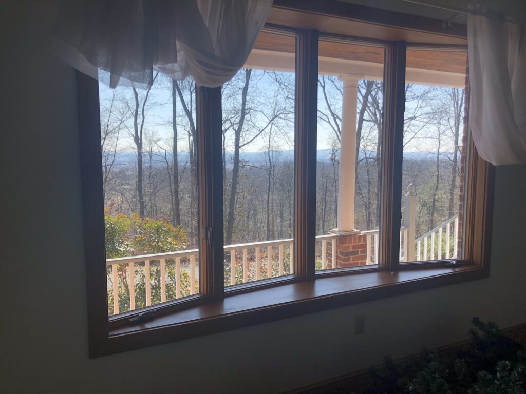 Wooded view through the original windows before renovation