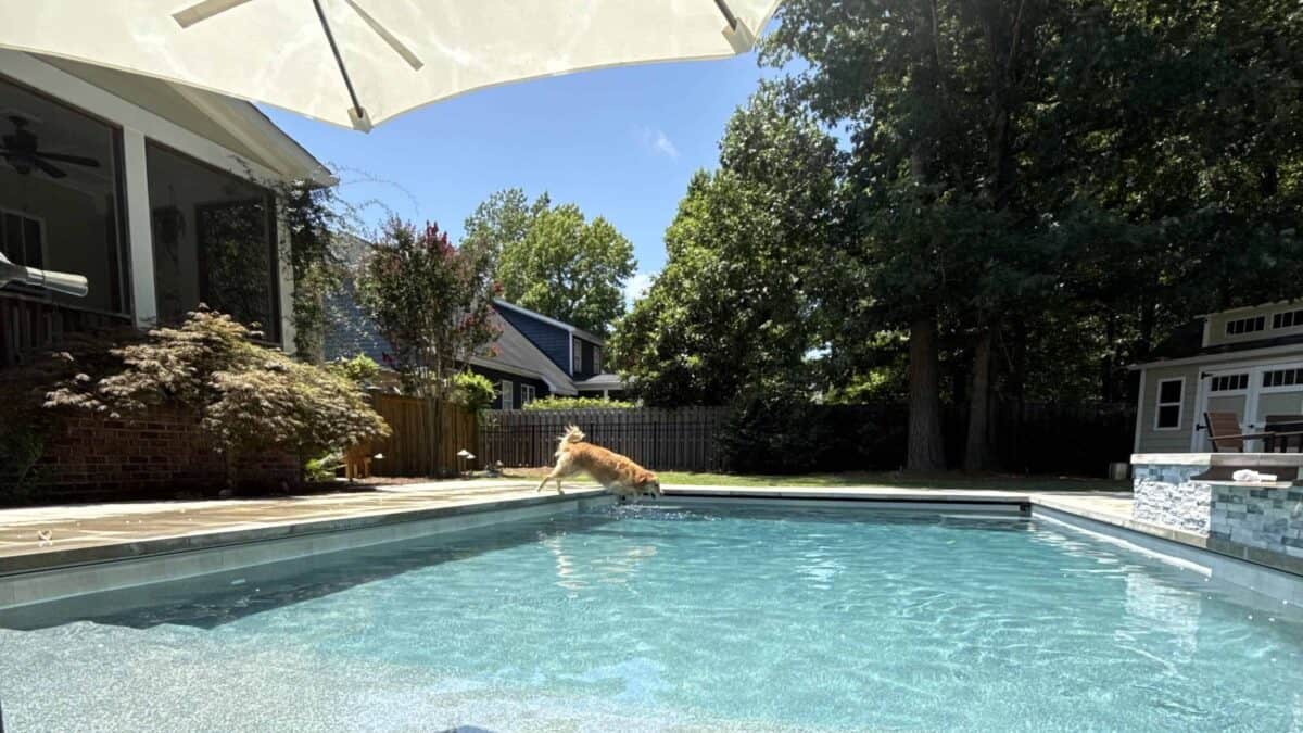 Relaxing backyard pool with umbrella and lush trees in the background.